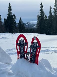Séjours à la montagne en hiver_Association A ton rythme